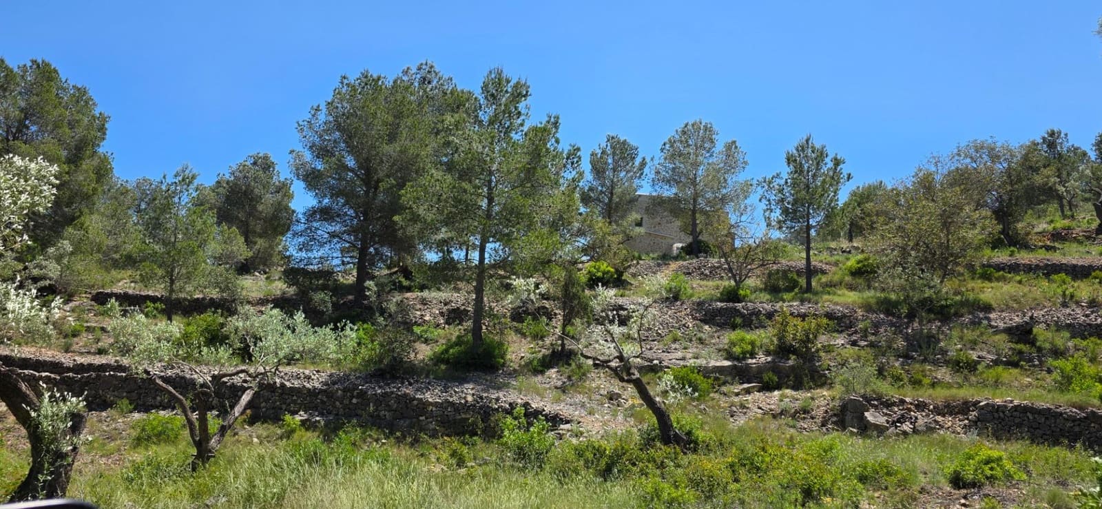 Finka/Dom wiejski na sprzedaż w Tivissa - 195 000 € (Ref: 9029489)