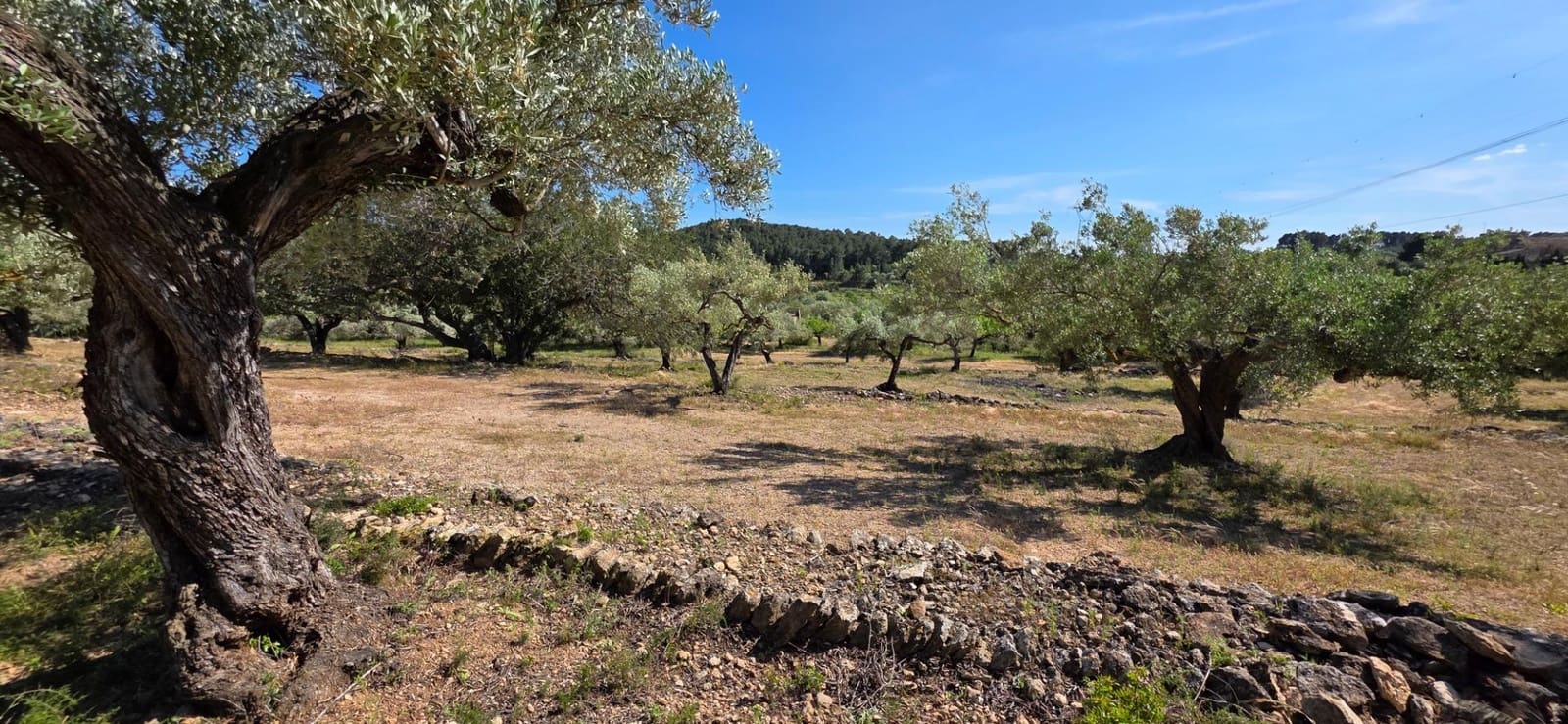 Finka/Dom wiejski na sprzedaż w Tivissa - 195 000 € (Ref: 9029489)