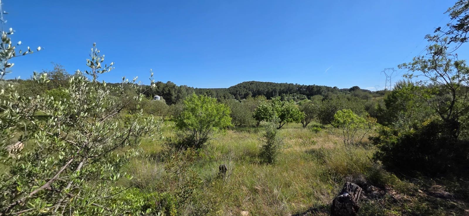 Finka/Dom wiejski na sprzedaż w Tivissa - 195 000 € (Ref: 9029489)