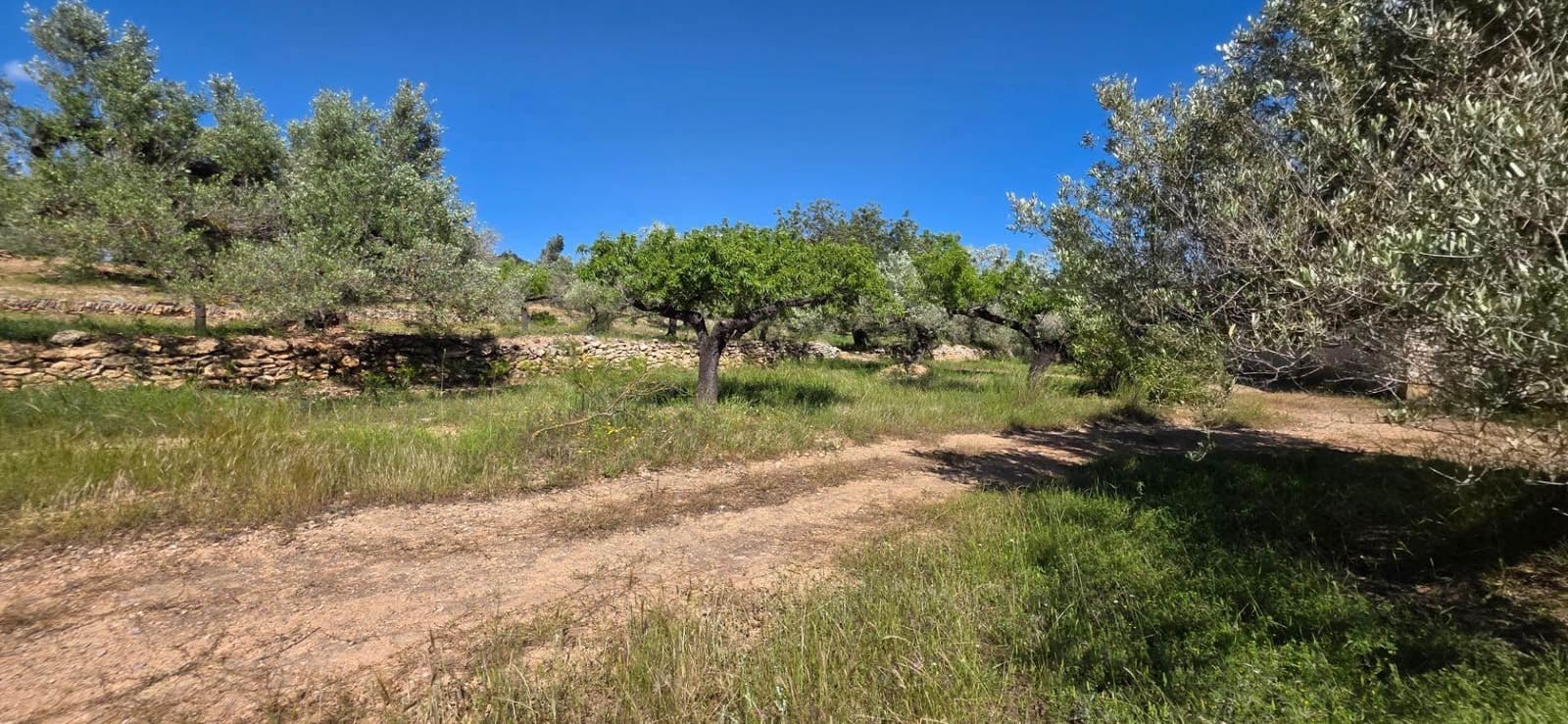 Finka/Dom wiejski na sprzedaż w Tivissa - 195 000 € (Ref: 9029489)