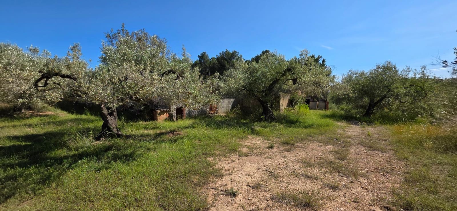 Finka/Dom wiejski na sprzedaż w Tivissa - 195 000 € (Ref: 9029489)