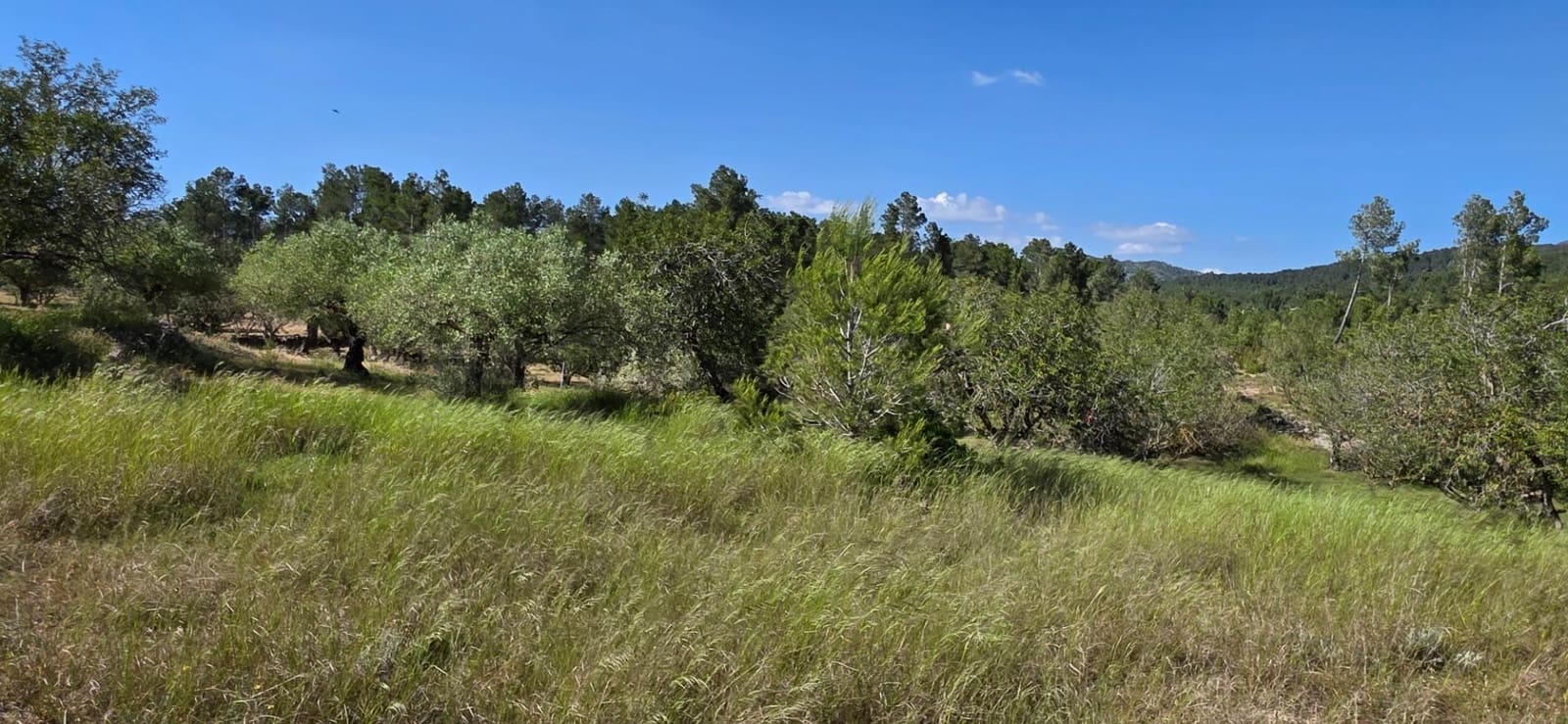 Finka/Dom wiejski na sprzedaż w Tivissa - 195 000 € (Ref: 9029489)