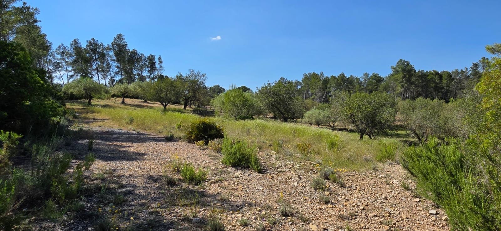 Finka/Dom wiejski na sprzedaż w Tivissa - 195 000 € (Ref: 9029489)