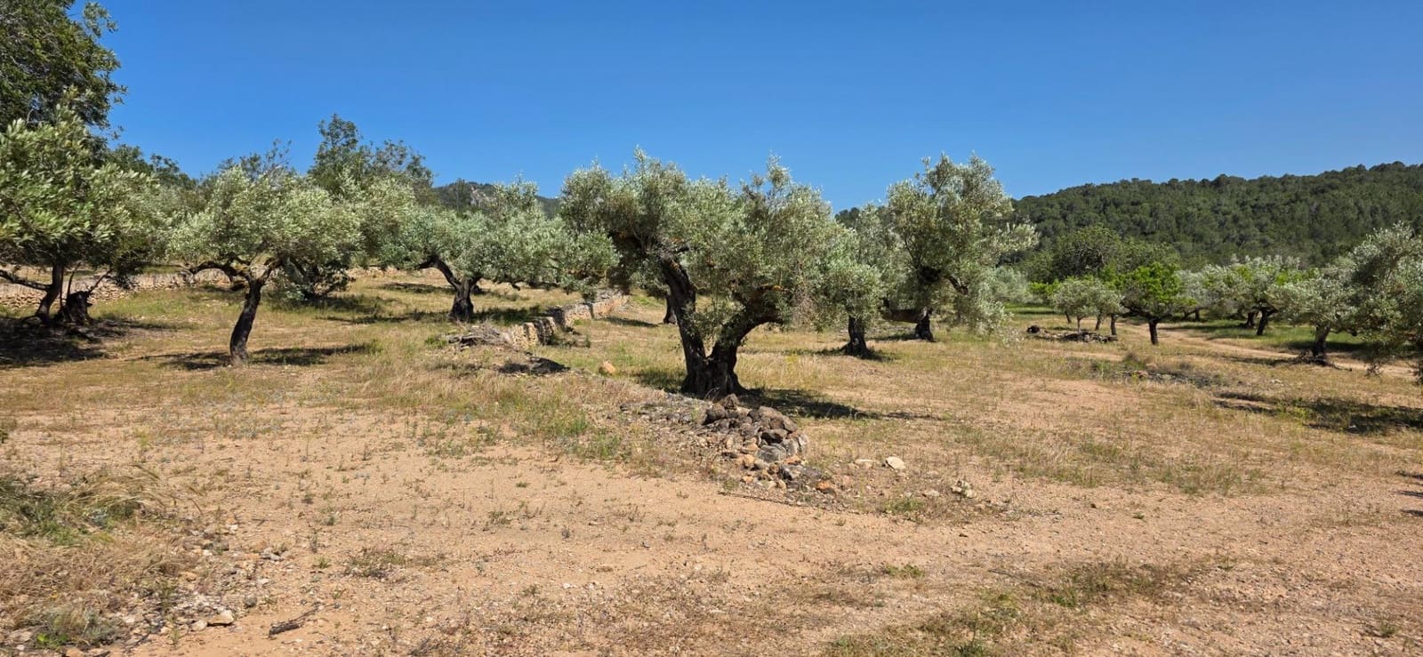 Finka/Dom wiejski na sprzedaż w Tivissa - 195 000 € (Ref: 9029489)