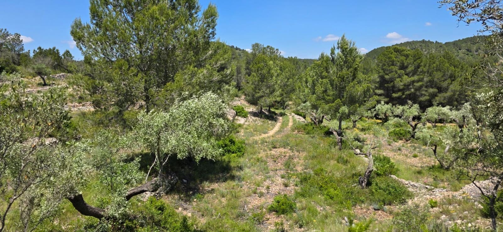 Finka/Dom wiejski na sprzedaż w Tivissa - 195 000 € (Ref: 9029489)