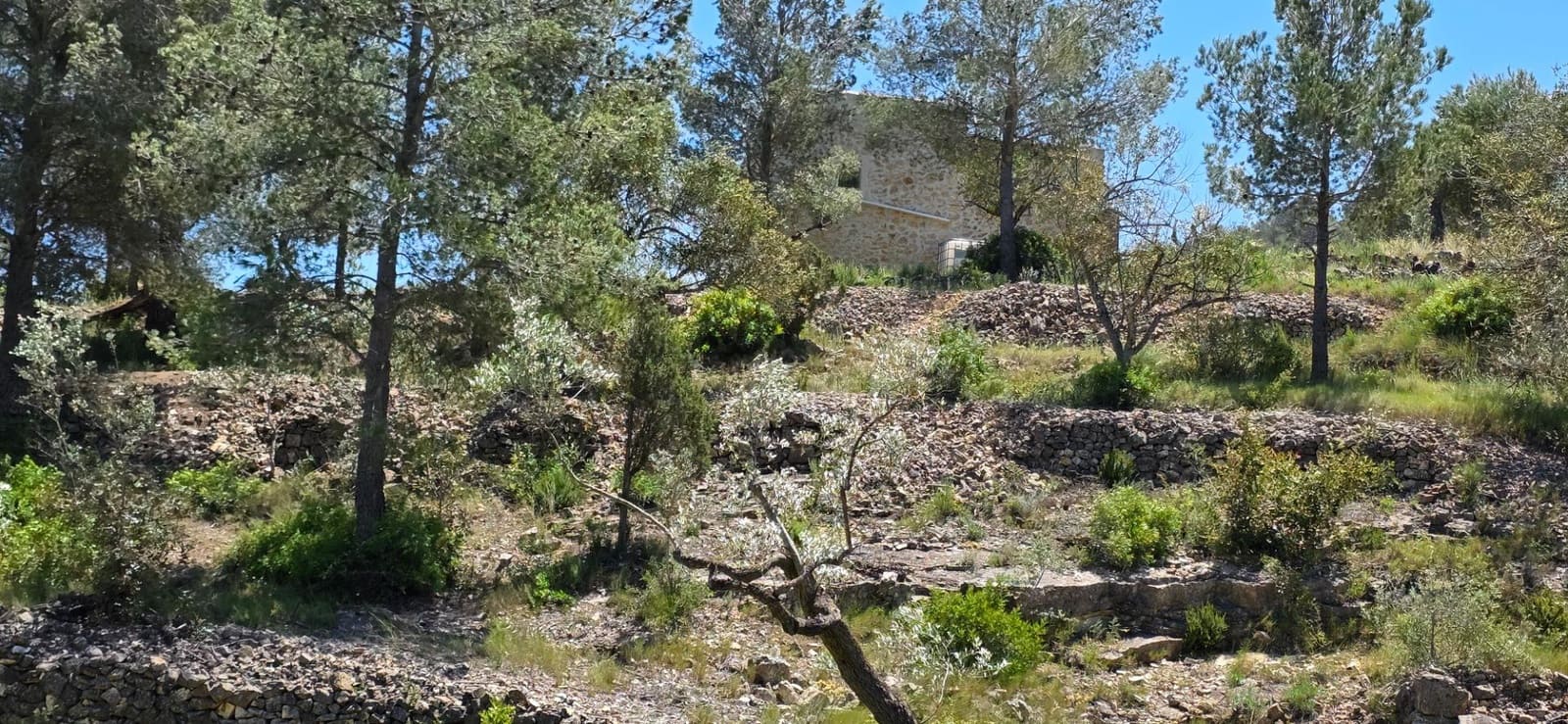 Finka/Dom wiejski na sprzedaż w Tivissa - 195 000 € (Ref: 9029489)