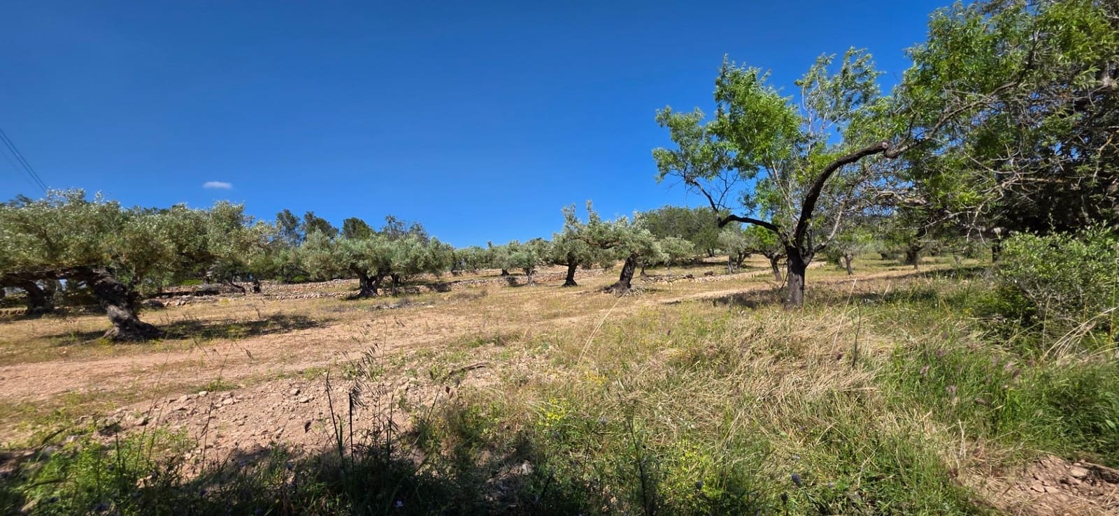 Finka/Dom wiejski na sprzedaż w Tivissa - 195 000 € (Ref: 9029489)