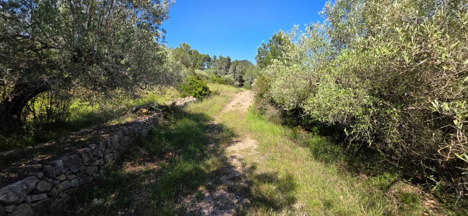 Finka/Dom wiejski na sprzedaż w Tivissa - 195 000 € (Ref: 9029489)