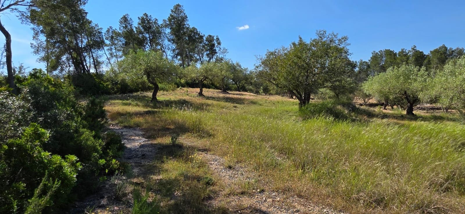 Finka/Dom wiejski na sprzedaż w Tivissa - 195 000 € (Ref: 9029489)