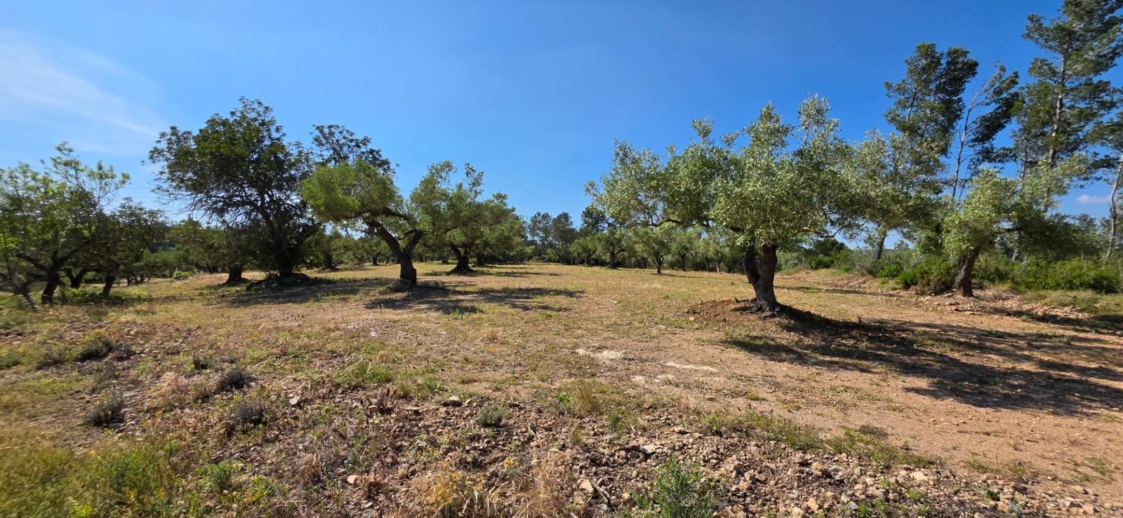 Finka/Dom wiejski na sprzedaż w Tivissa - 195 000 € (Ref: 9029489)