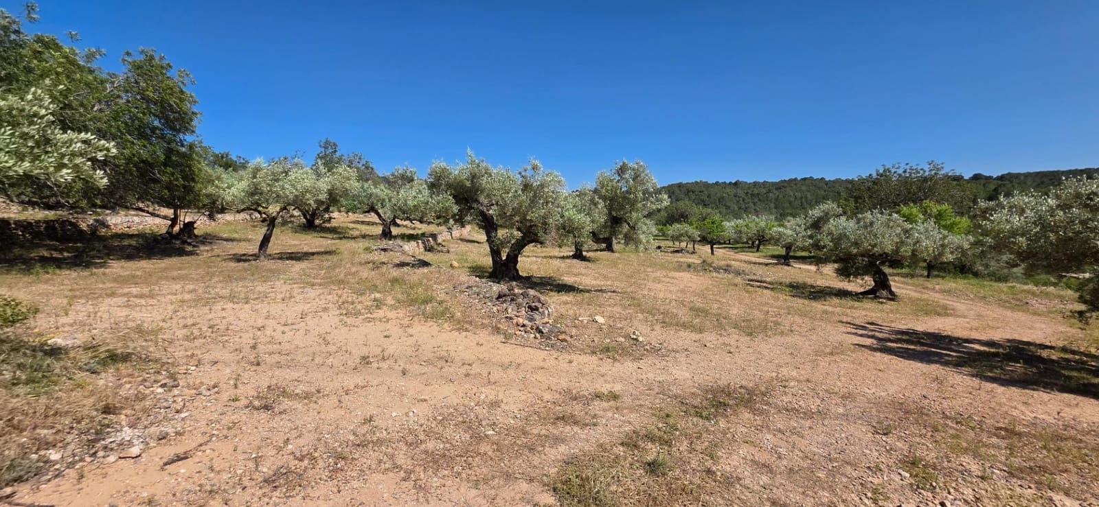 Finka/Dom wiejski na sprzedaż w Tivissa - 195 000 € (Ref: 9029489)