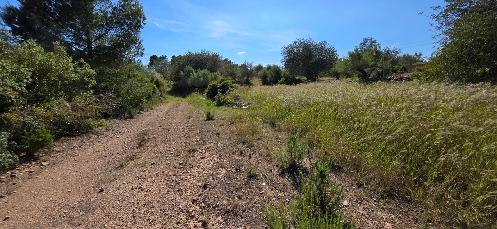 Finka/Dom wiejski na sprzedaż w Tivissa - 195 000 € (Ref: 9029489)