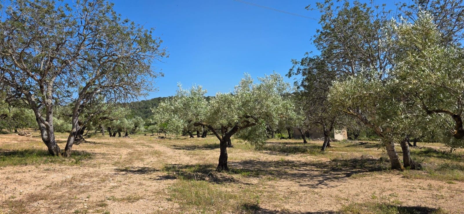 Finka/Dom wiejski na sprzedaż w Tivissa - 195 000 € (Ref: 9029489)