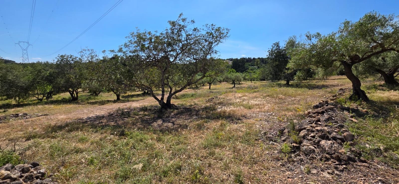 Finka/Dom wiejski na sprzedaż w Tivissa - 195 000 € (Ref: 9029489)