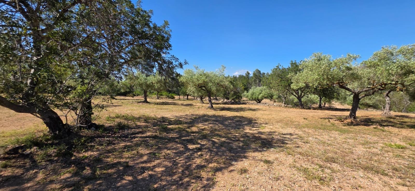 Finka/Dom wiejski na sprzedaż w Tivissa - 195 000 € (Ref: 9029489)