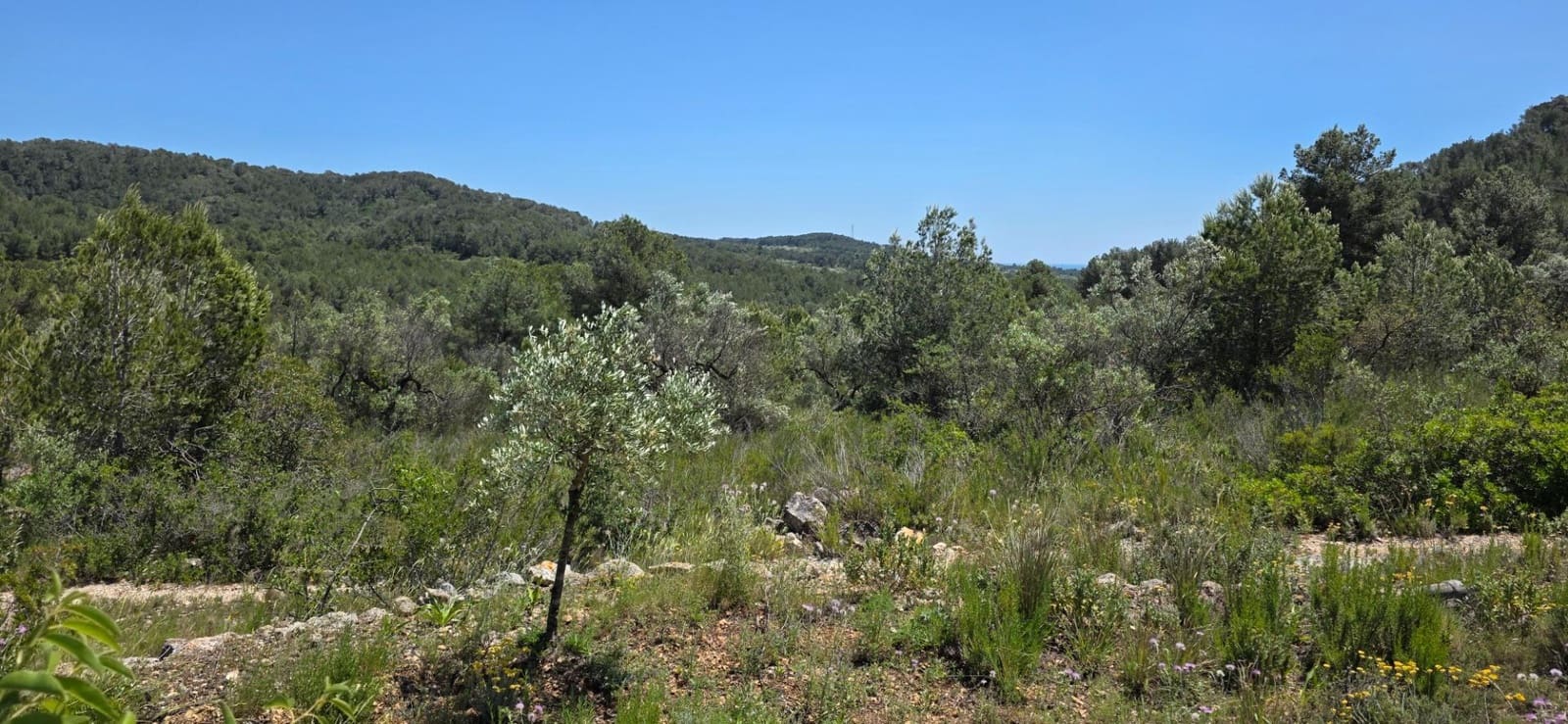 1 bedroom Finca/Country House for sale in L'Ametlla de Mar - € 84,000 (Ref: 9042178)