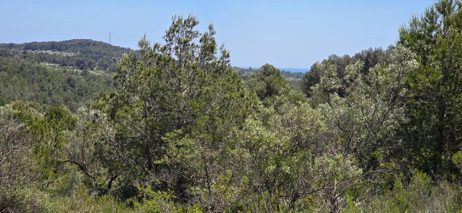 1 bedroom Finca/Country House for sale in L'Ametlla de Mar - € 84,000 (Ref: 9042178)