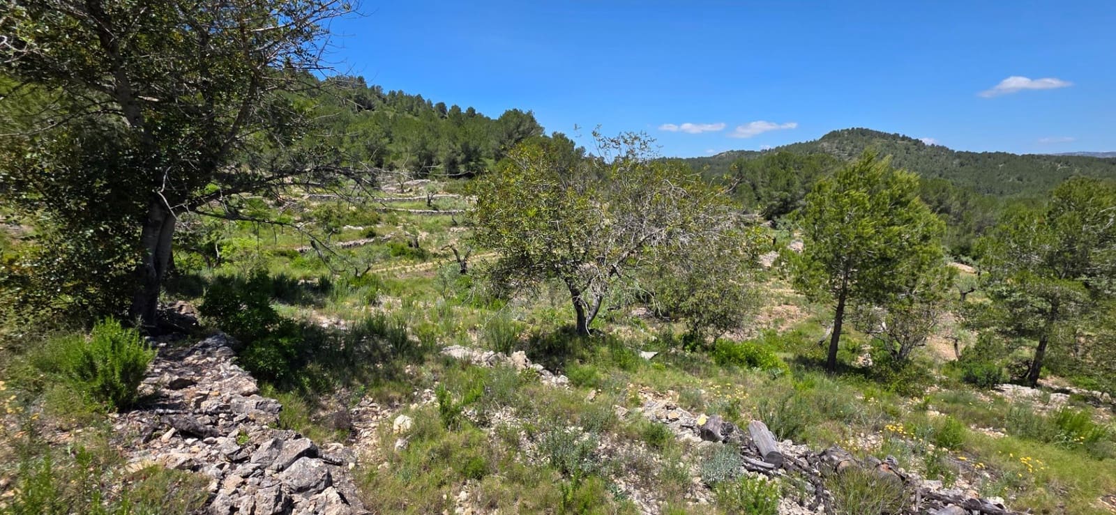 1 bedroom Finca/Country House for sale in L'Ametlla de Mar - € 84,000 (Ref: 9042178)