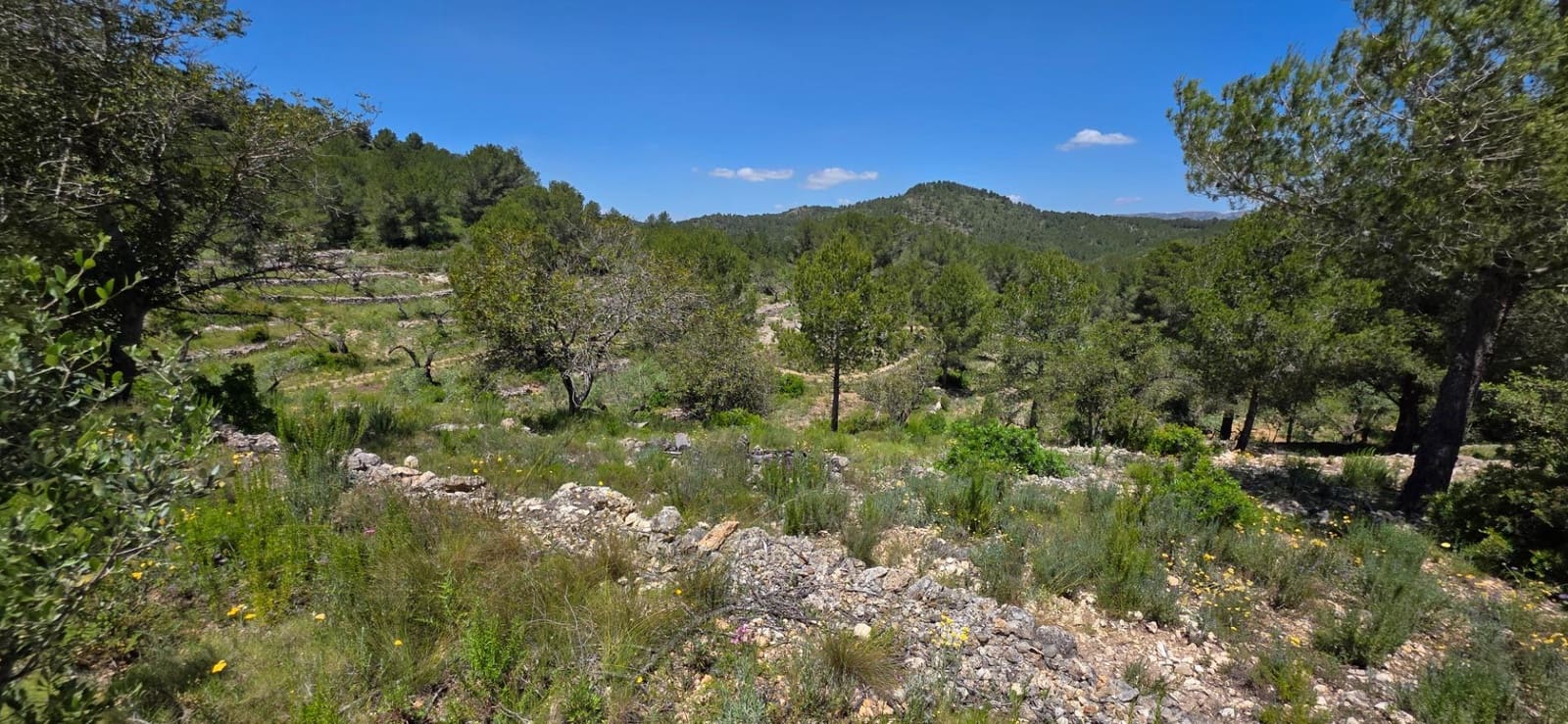 1 bedroom Finca/Country House for sale in L'Ametlla de Mar - € 84,000 (Ref: 9042178)