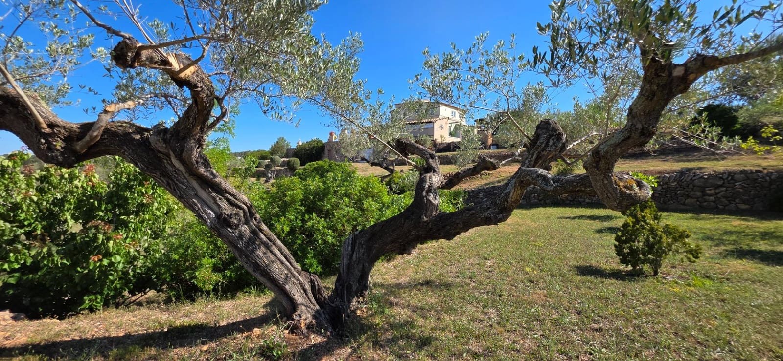 2 sovrum Finca/Hus på landet till salu i L'Ametlla de Mar med pool garage - 795 000 € (Ref: 9126734)