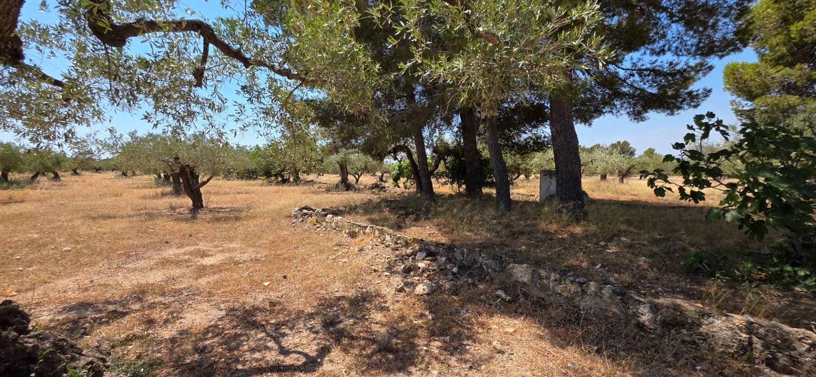 3 sovrum Finca/Hus på landet till salu i L'Ametlla de Mar - 220 000 € (Ref: 9126736)