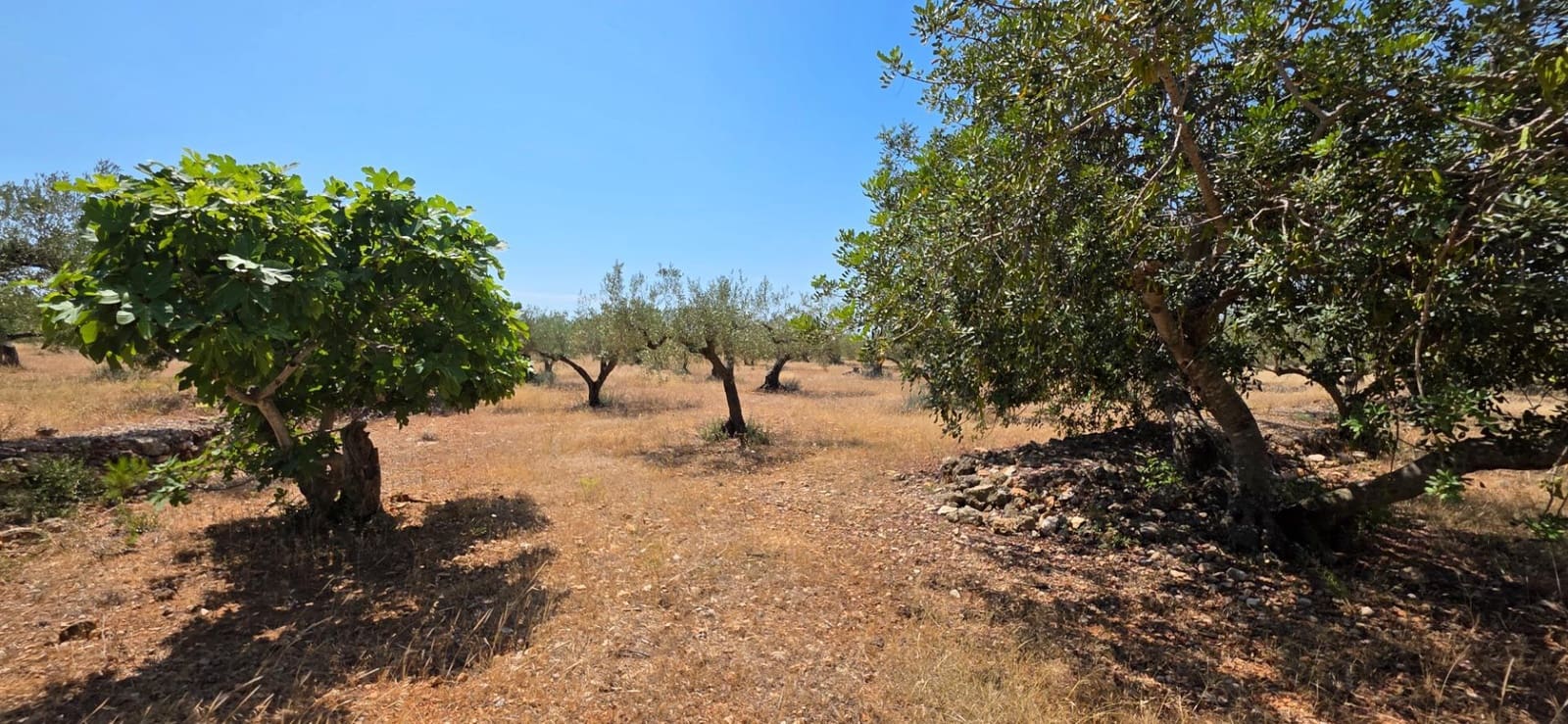 3 sovrum Finca/Hus på landet till salu i L'Ametlla de Mar - 220 000 € (Ref: 9126736)