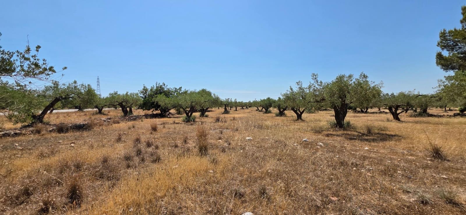 3 sovrum Finca/Hus på landet till salu i L'Ametlla de Mar - 220 000 € (Ref: 9126736)