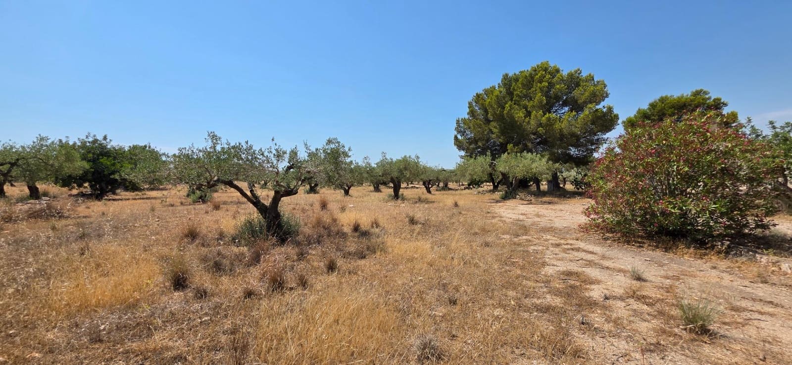 3 sovrum Finca/Hus på landet till salu i L'Ametlla de Mar - 220 000 € (Ref: 9126736)