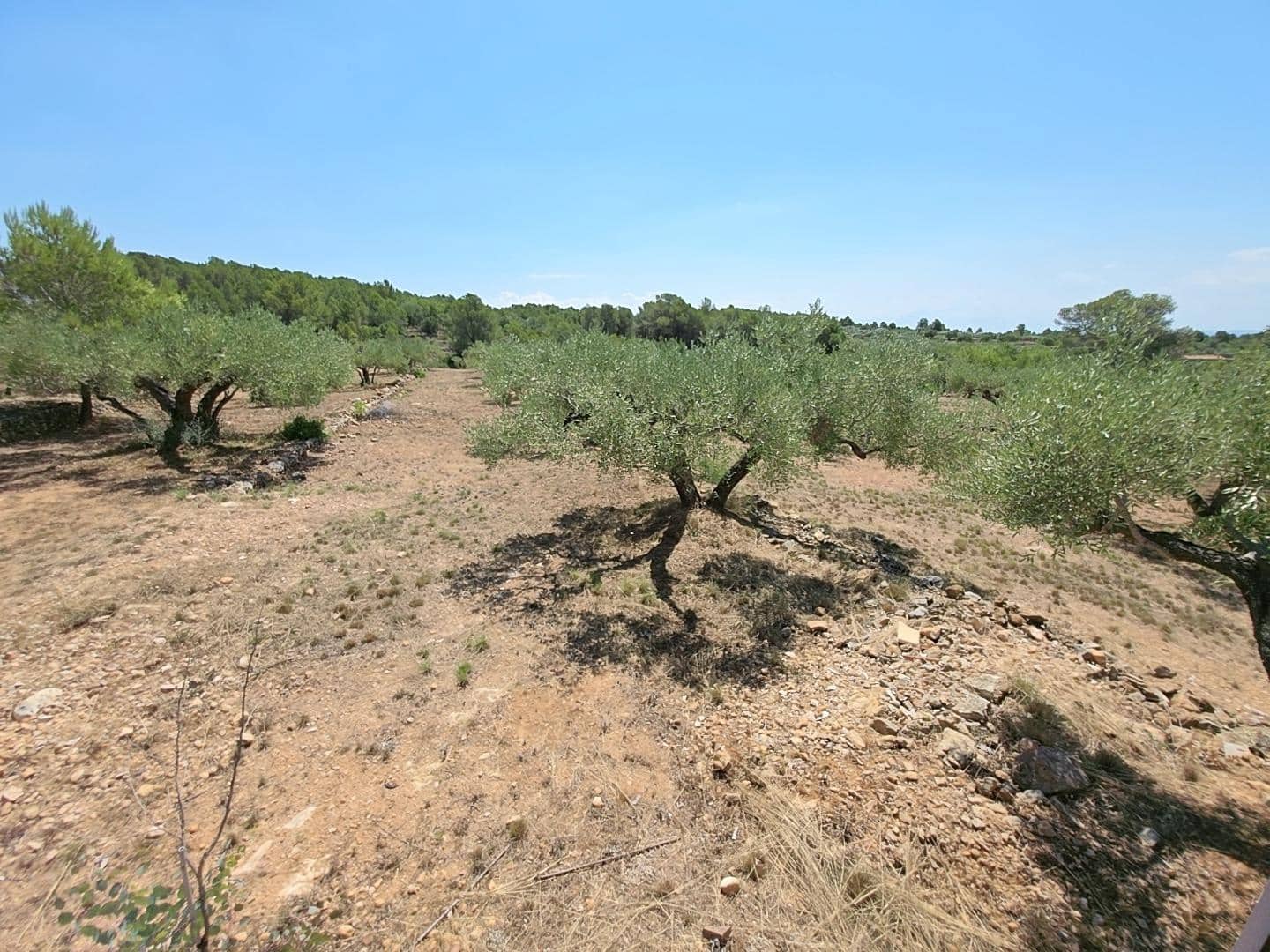 5 sovrum Finca/Hus på landet till salu i L'Ametlla de Mar med pool - 470 000 € (Ref: 9137037)