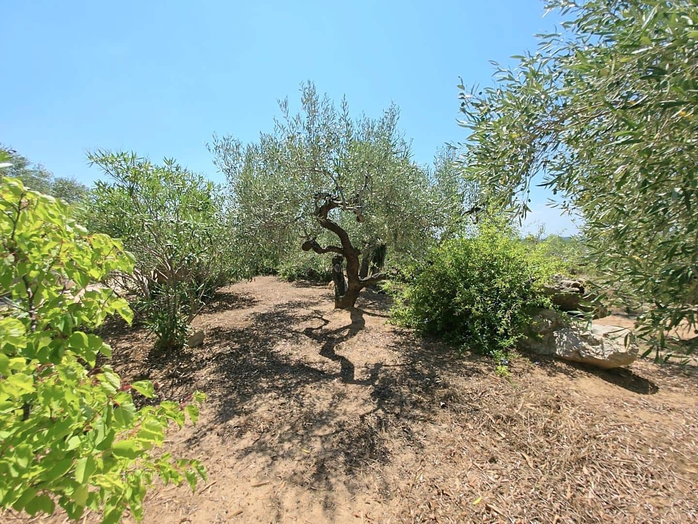 5 sovrum Finca/Hus på landet till salu i L'Ametlla de Mar med pool - 470 000 € (Ref: 9137037)