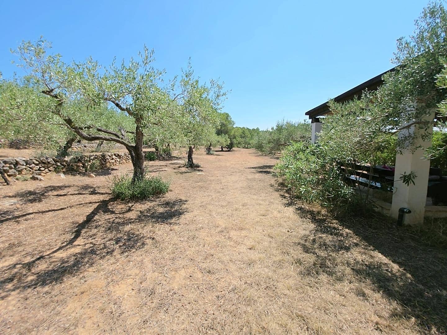 5 sovrum Finca/Hus på landet till salu i L'Ametlla de Mar med pool - 470 000 € (Ref: 9137037)