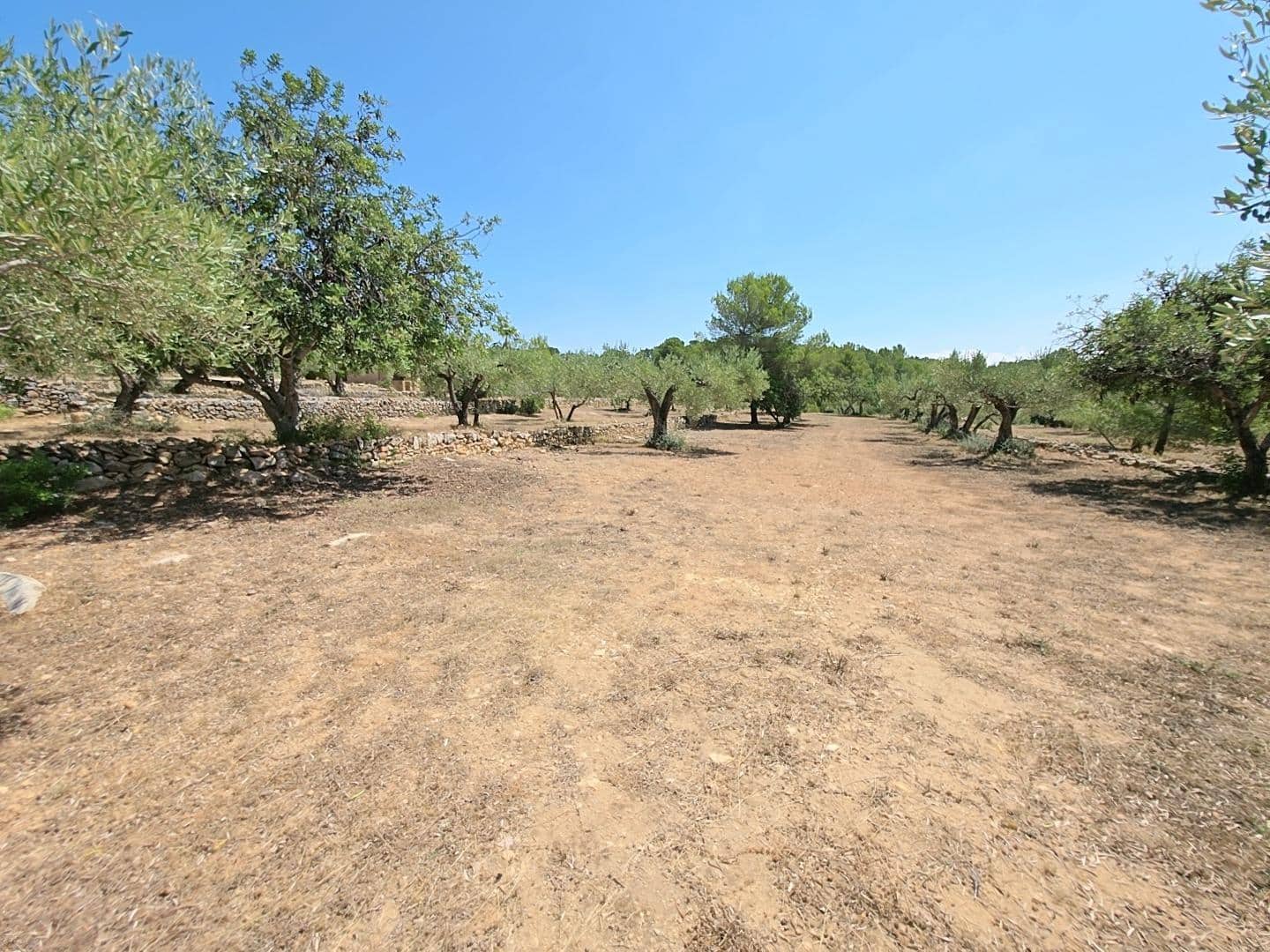 5 sovrum Finca/Hus på landet till salu i L'Ametlla de Mar med pool - 470 000 € (Ref: 9137037)