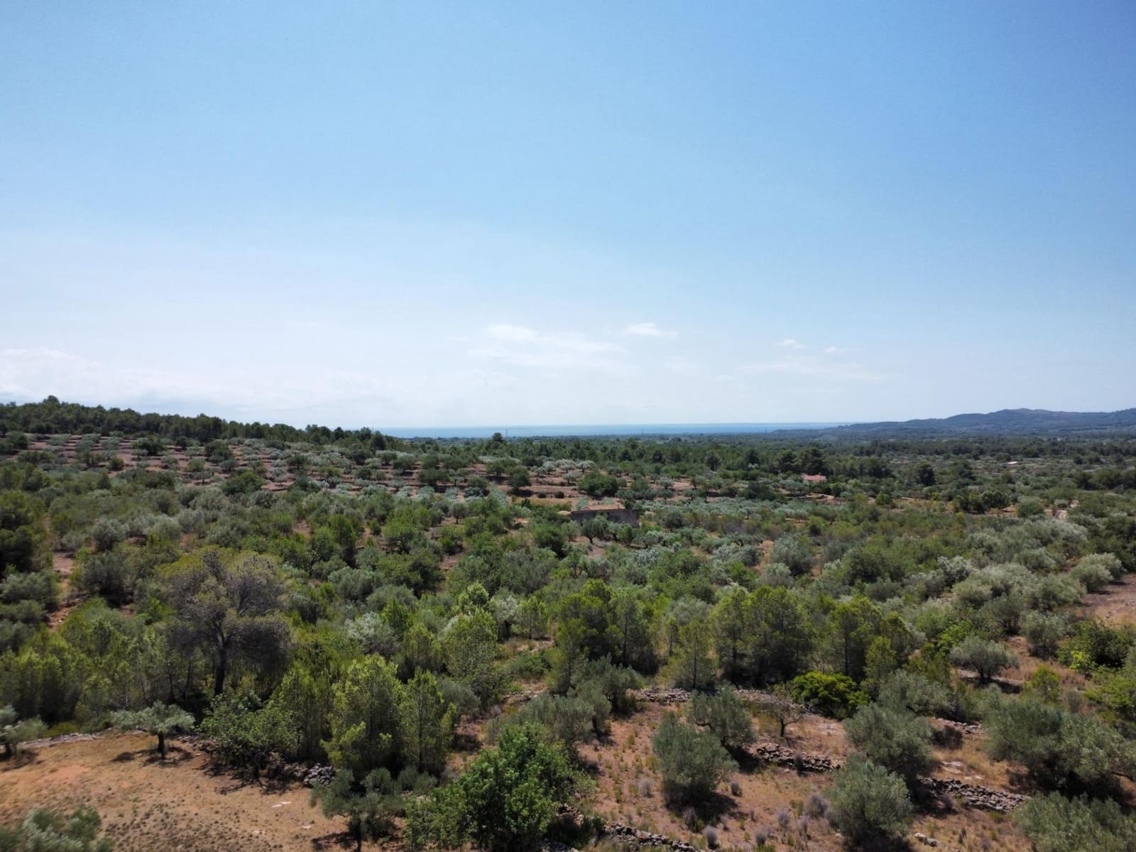 5 sovrum Finca/Hus på landet till salu i L'Ametlla de Mar med pool - 470 000 € (Ref: 9137037)