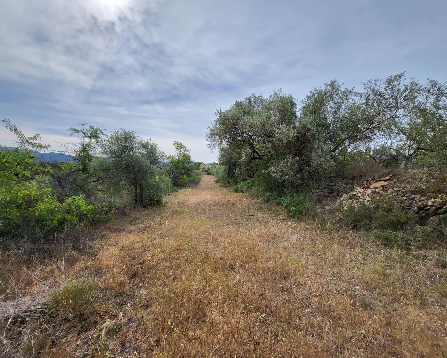 Finka/Dom wiejski na sprzedaż w Tivissa - 185 000 € (Ref: 9153873)