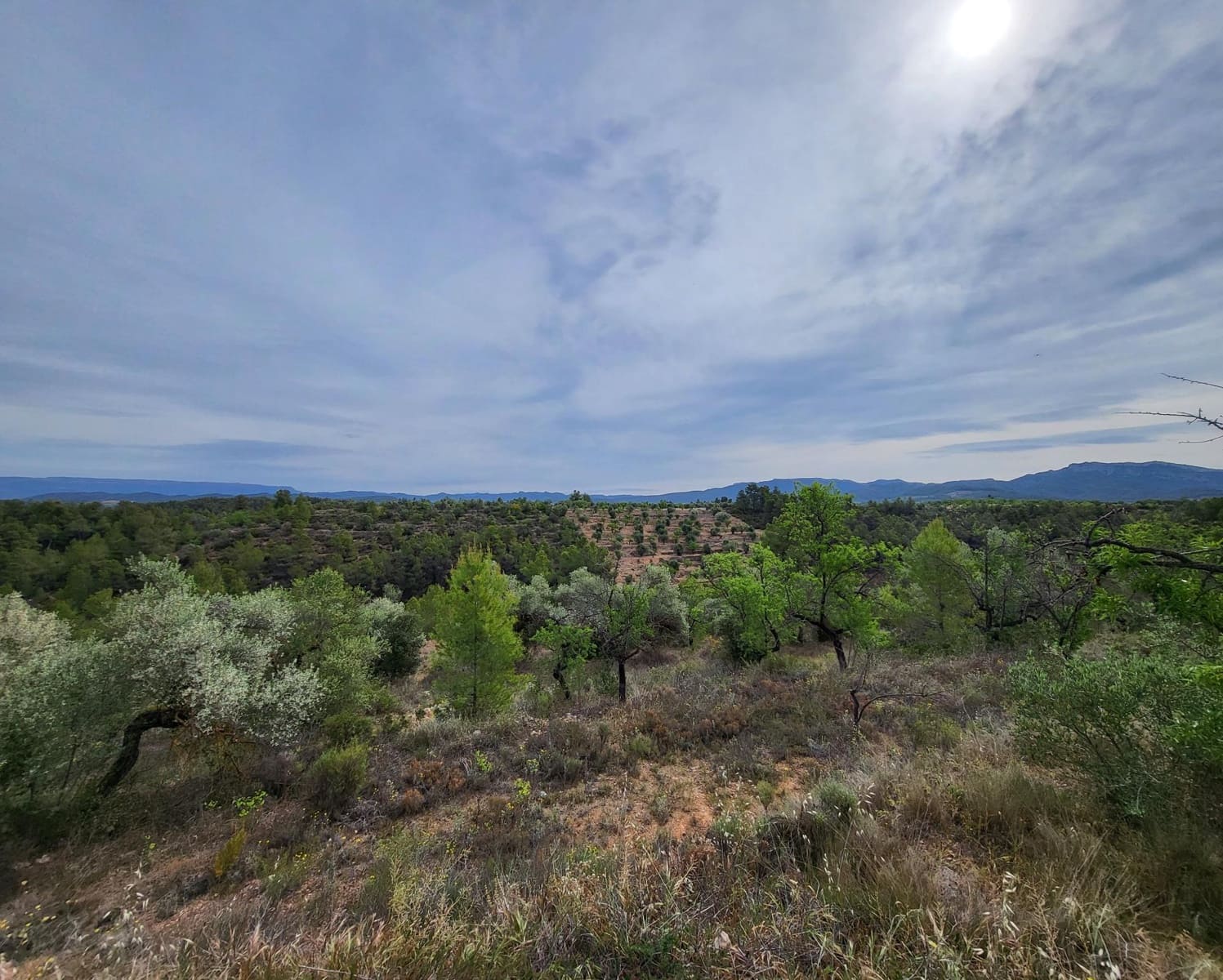 Finka/Dom wiejski na sprzedaż w Tivissa - 185 000 € (Ref: 9153873)