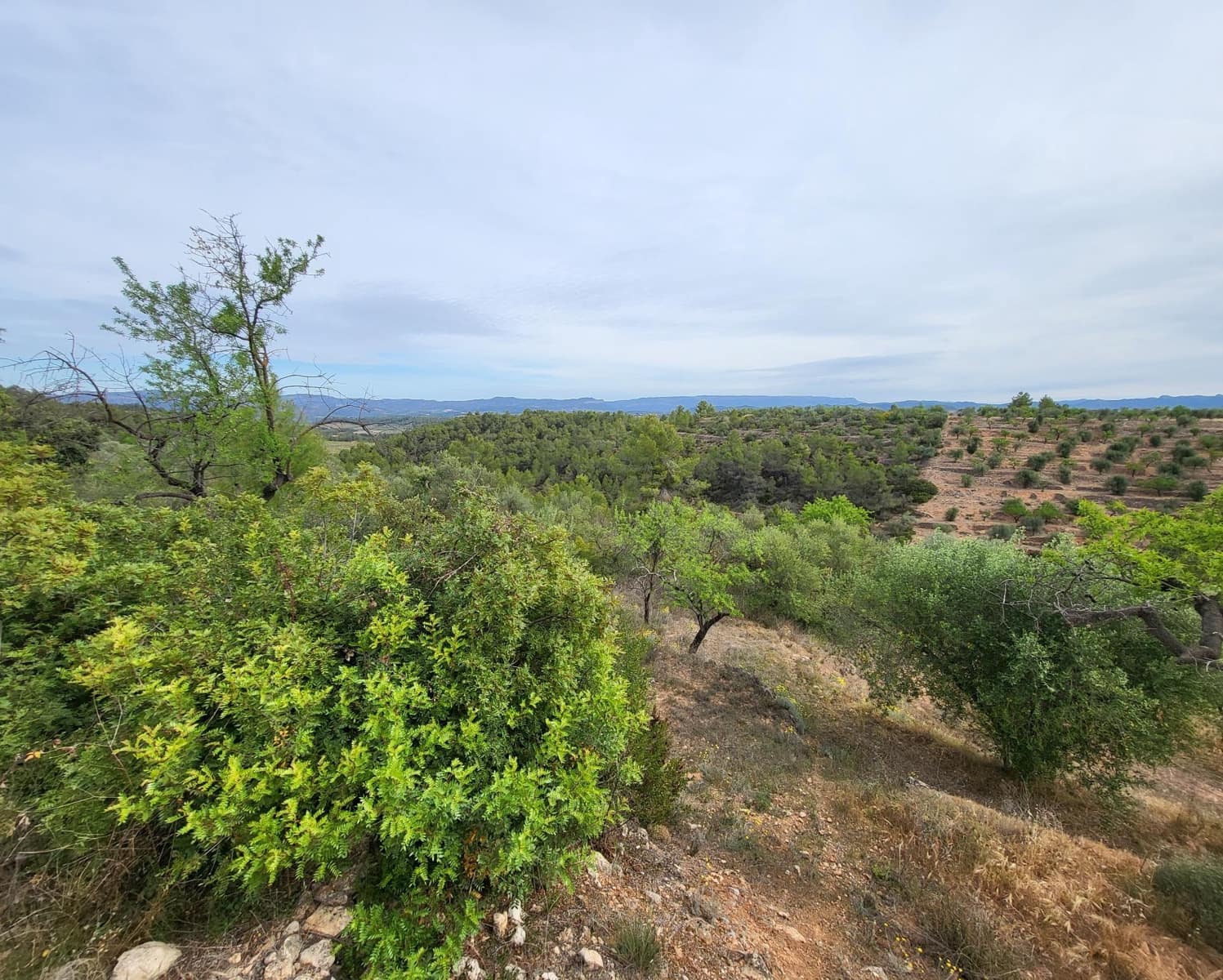 Finka/Dom wiejski na sprzedaż w Tivissa - 185 000 € (Ref: 9153873)