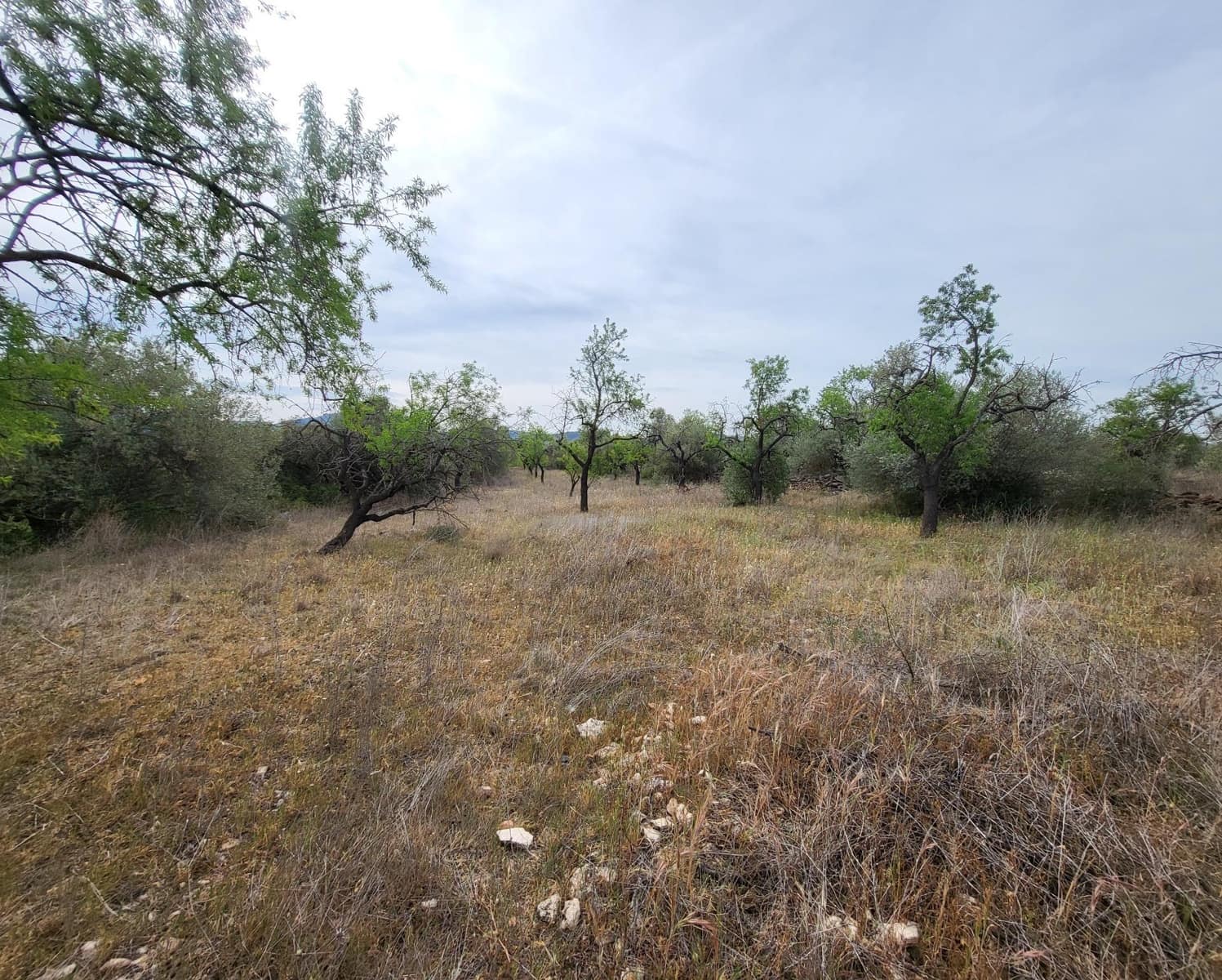 Finka/Dom wiejski na sprzedaż w Tivissa - 185 000 € (Ref: 9153873)