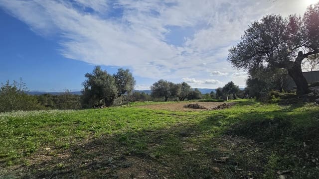 Finka/Dom wiejski na sprzedaż w Tivissa - 185 000 € (Ref: 9153873)