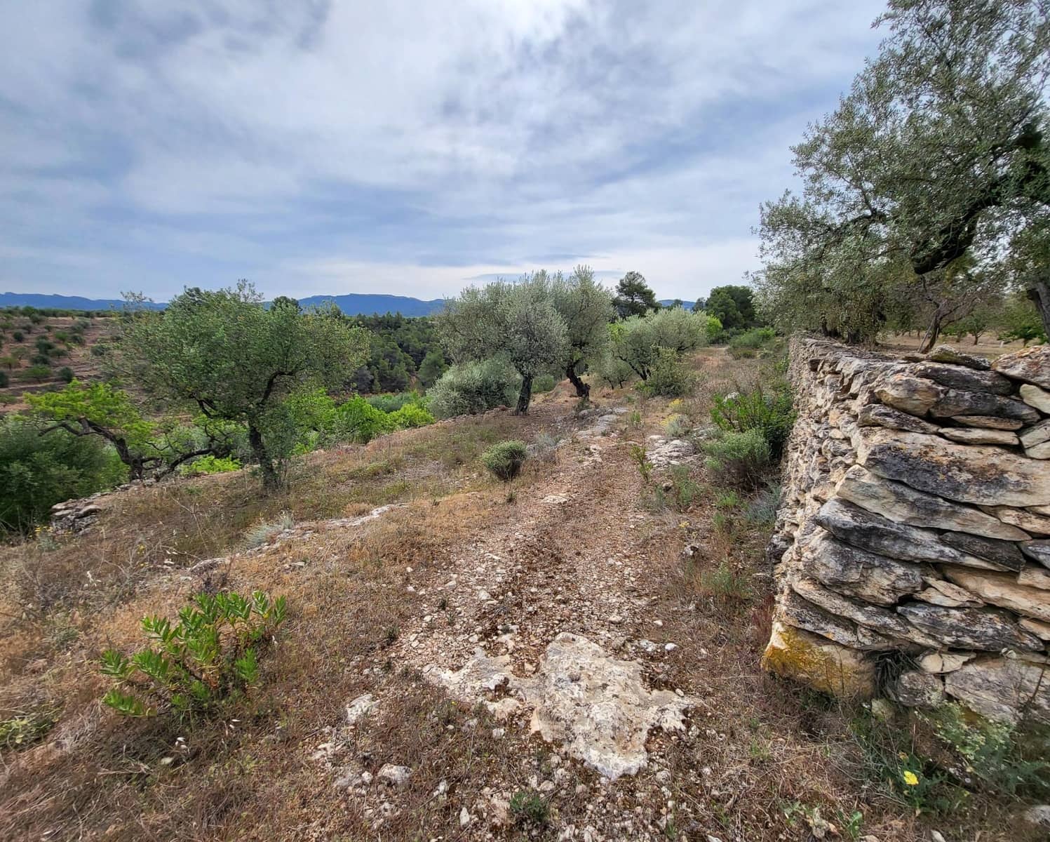 Finka/Dom wiejski na sprzedaż w Tivissa - 185 000 € (Ref: 9153873)