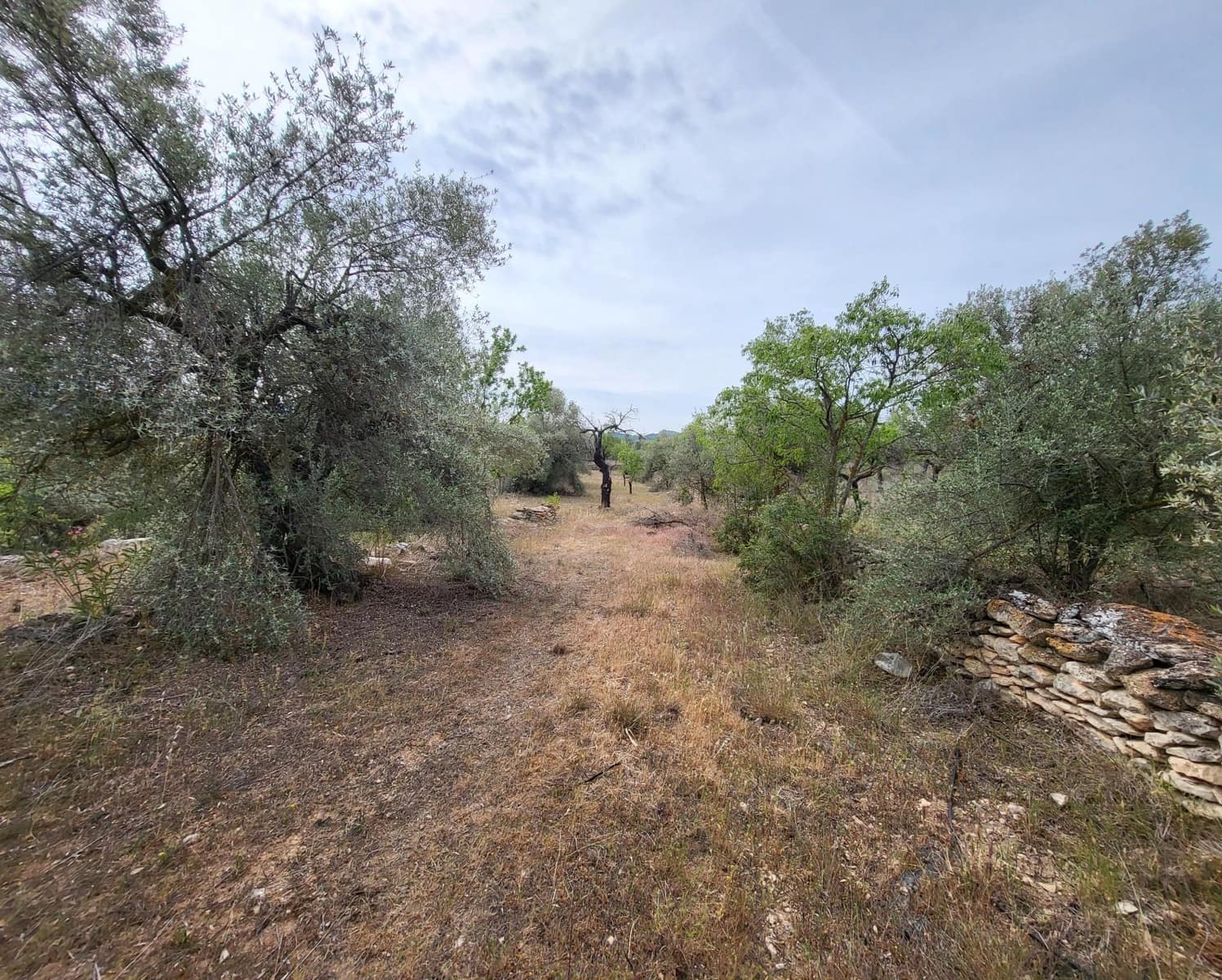 Finka/Dom wiejski na sprzedaż w Tivissa - 185 000 € (Ref: 9153873)