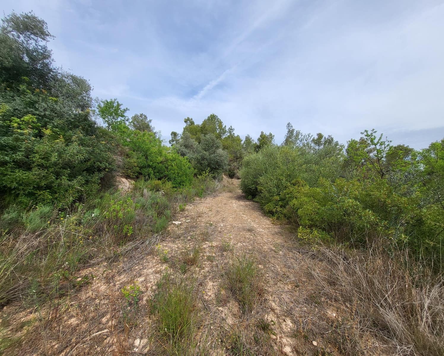 Finka/Dom wiejski na sprzedaż w Tivissa - 185 000 € (Ref: 9153873)