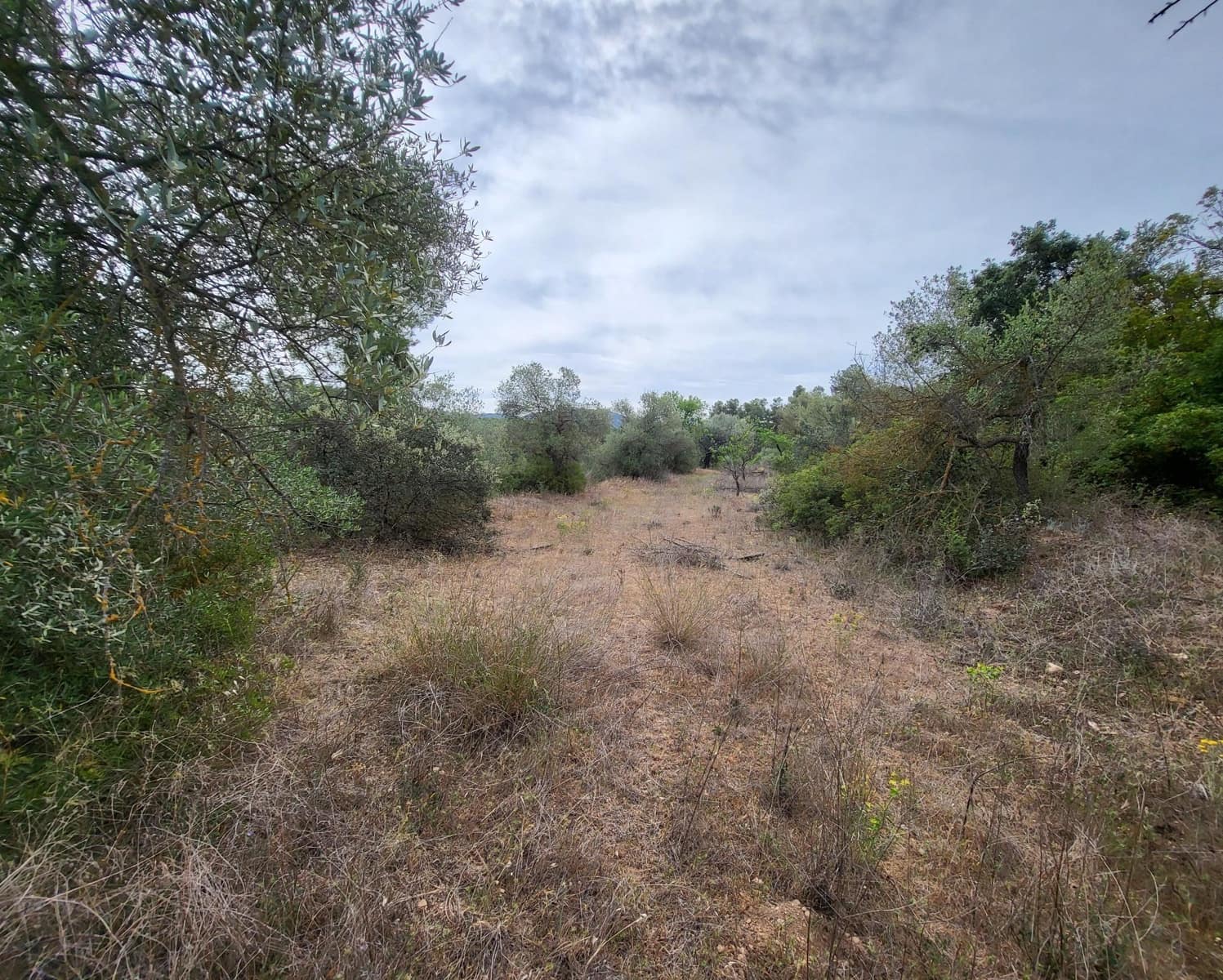 Finka/Dom wiejski na sprzedaż w Tivissa - 185 000 € (Ref: 9153873)