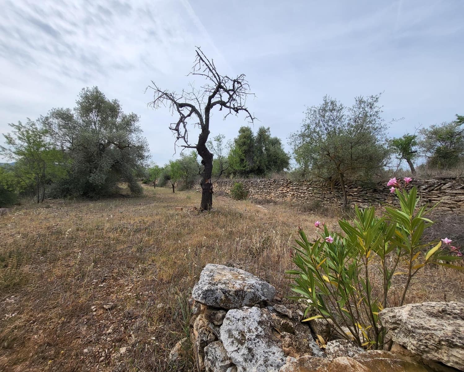 Finka/Dom wiejski na sprzedaż w Tivissa - 185 000 € (Ref: 9153873)