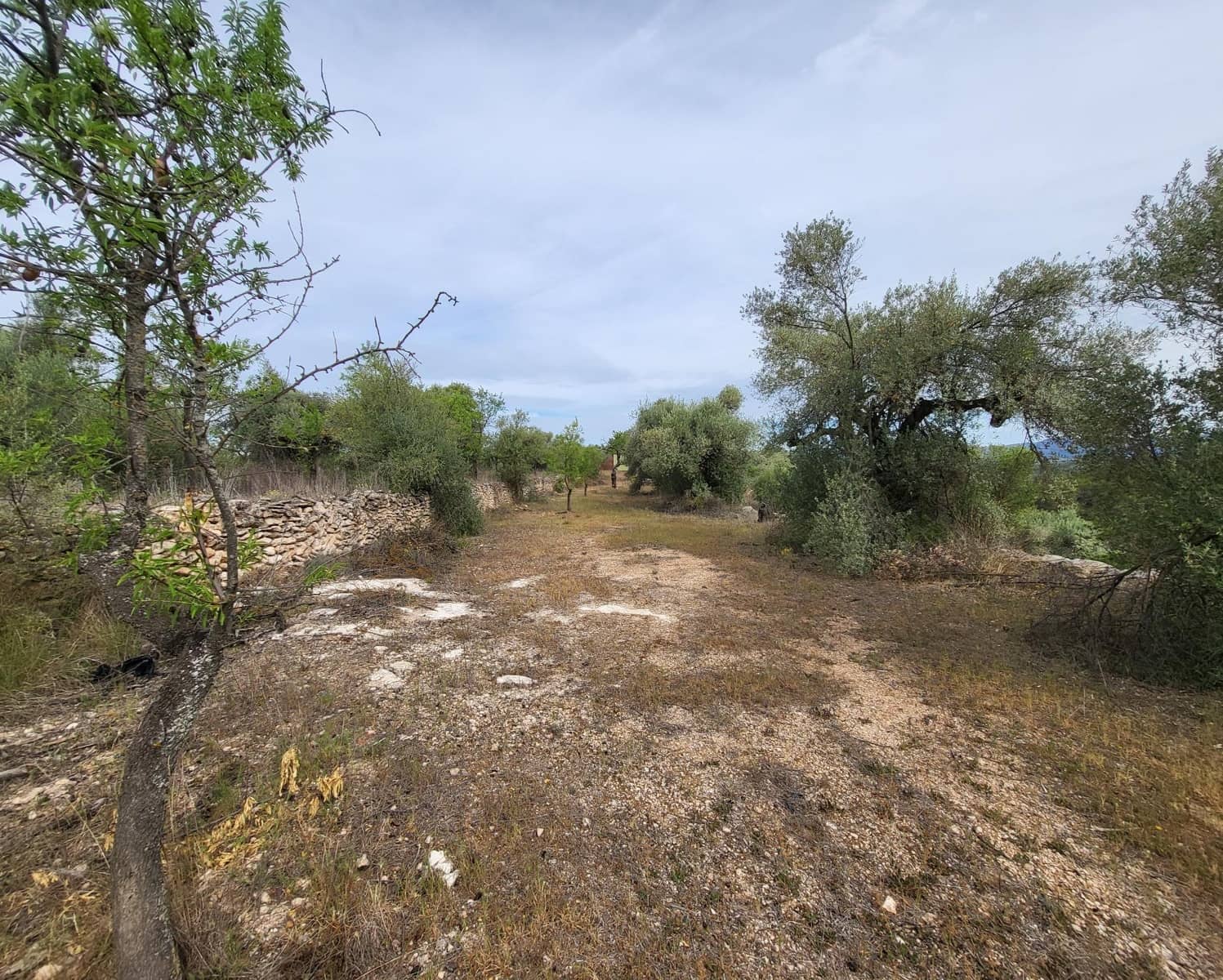 Finka/Dom wiejski na sprzedaż w Tivissa - 185 000 € (Ref: 9153873)