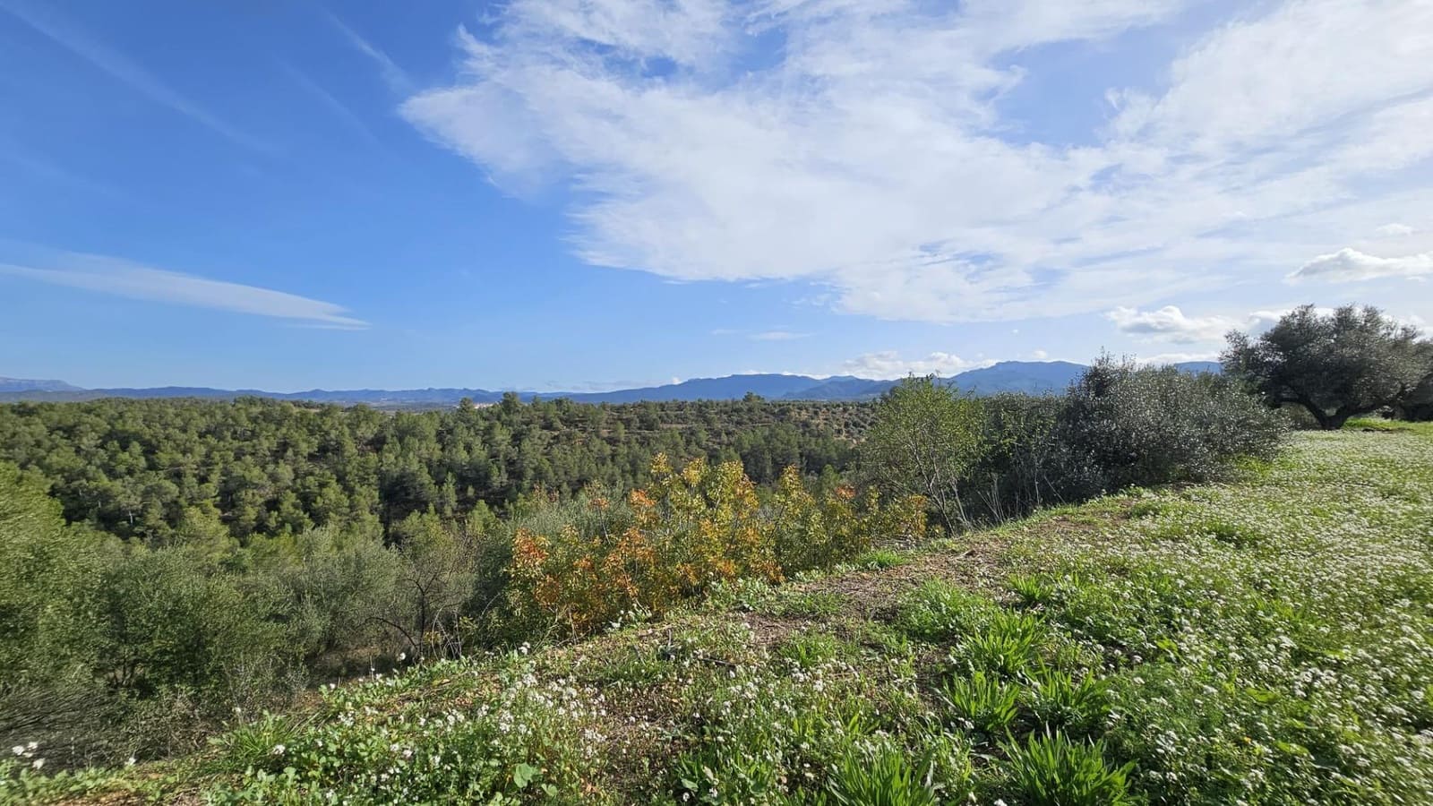 Finka/Dom wiejski na sprzedaż w Tivissa - 185 000 € (Ref: 9153873)