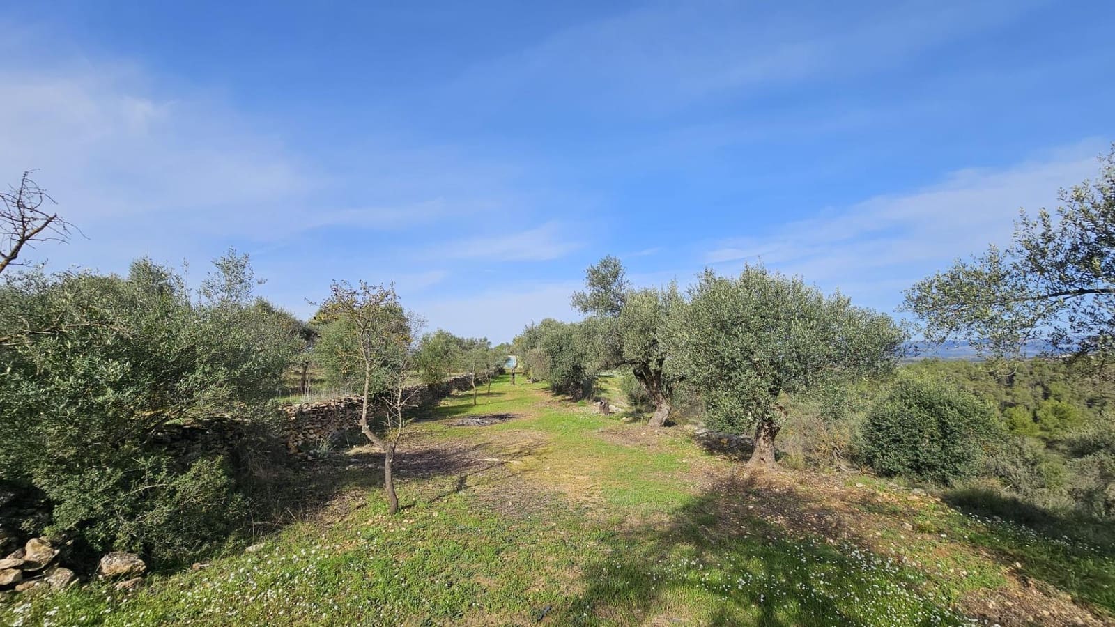 Finka/Dom wiejski na sprzedaż w Tivissa - 185 000 € (Ref: 9153873)