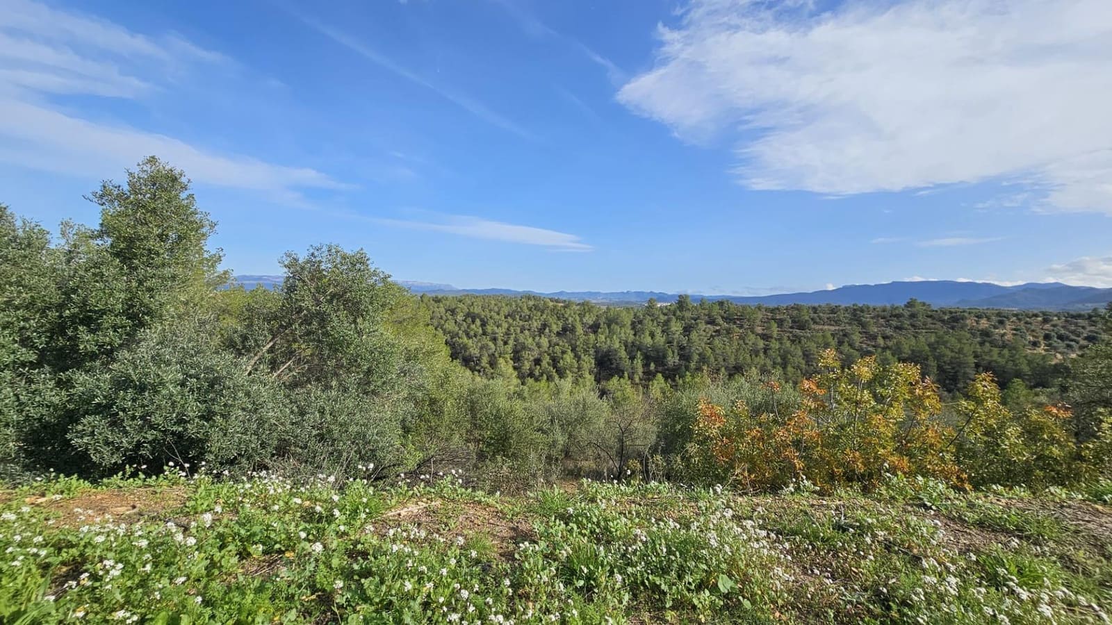 Finka/Dom wiejski na sprzedaż w Tivissa - 185 000 € (Ref: 9153873)