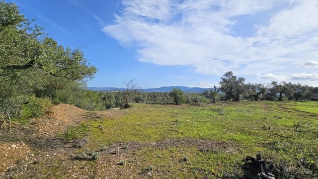 Finka/Dom wiejski na sprzedaż w Tivissa - 185 000 € (Ref: 9153873)