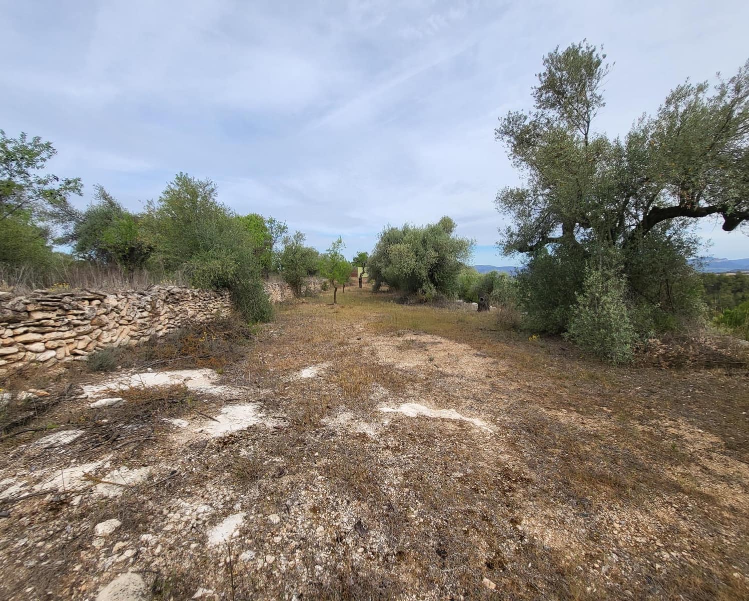 Finka/Dom wiejski na sprzedaż w Tivissa - 185 000 € (Ref: 9153873)