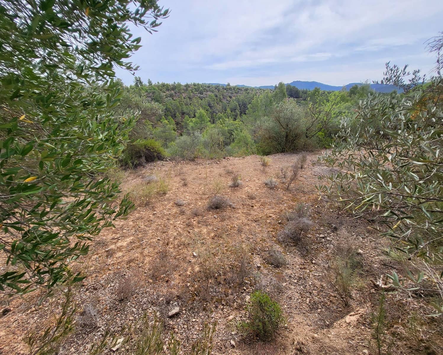 Finka/Dom wiejski na sprzedaż w Tivissa - 185 000 € (Ref: 9153873)